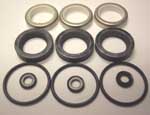 Kit Seals Hot and Dry - (CAT 5CP2150)