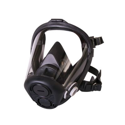 Honeywell, Full Face Mask, Silicone Seal and Nose Cup, SM