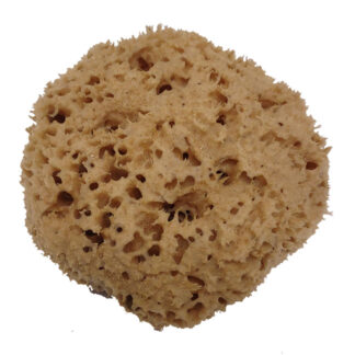 Natural Ocean Sponge, For Dry Foam Cleaning