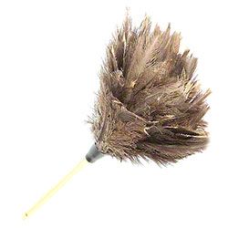 22" Economy Ostrich Feather