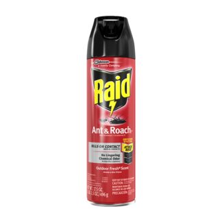 Raid Ant & Roach Killer , 17.5 oz., Outdoor Fresh