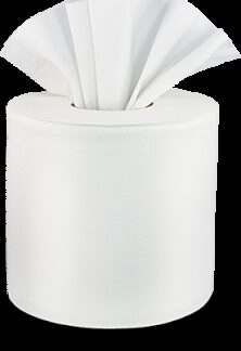 Livi[R] VPG[R] Select 2 Ply Center Pull Towel
