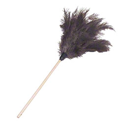 30" Economy Ostrich Feather