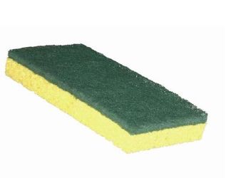 Pro-Link Light Duty Scrub