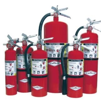 Amerex, Dry Chemical Fire Extinguisher, 20 lbs, Steel