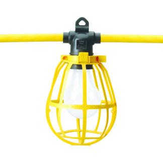 Coleman Cable Light String, 50'